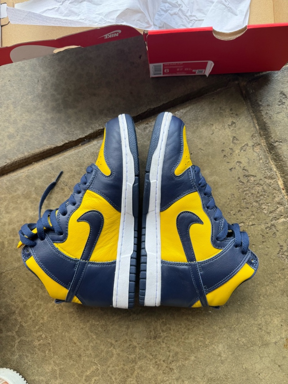 Nike Dunk Michigan